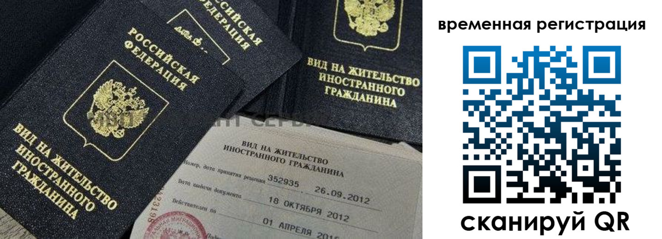 прописка для школы в Купино